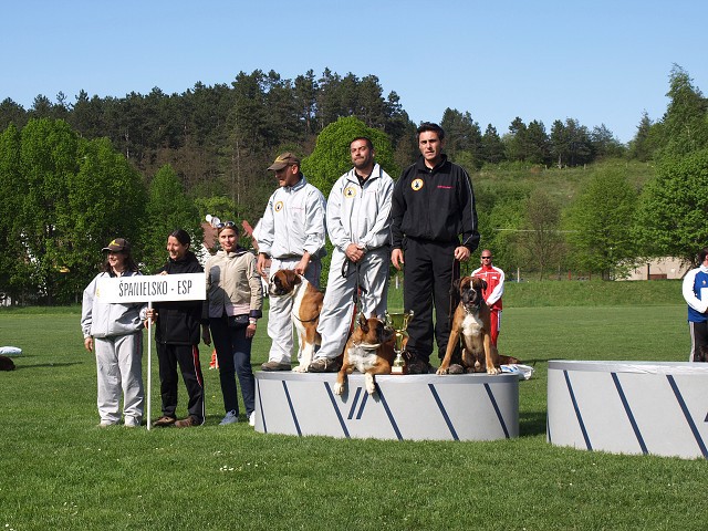 www.atibox.net * www.euroboxer.eu * www.boxergenealogia.eu